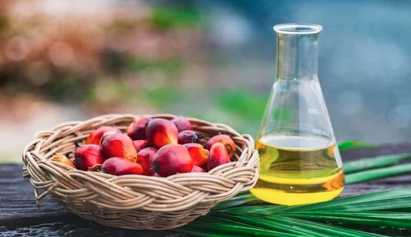 Dầu cọ thô MPO trong giao dịch hàng hoá phái sinh