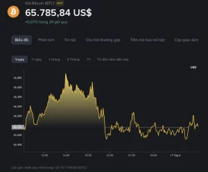 gia bitcoin ngay 17/06/2026