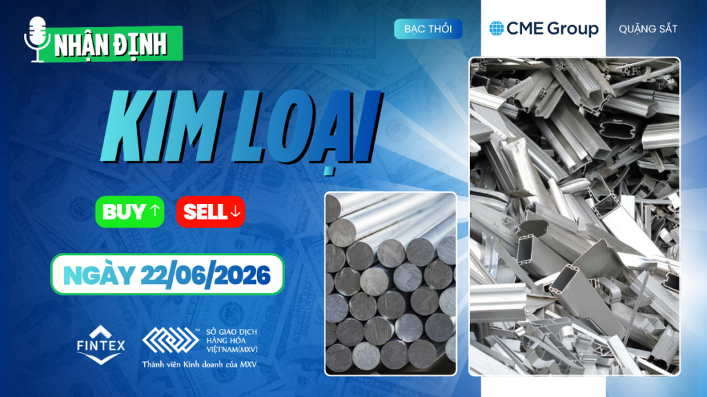 Nhận định thị trường kim loại ngày 22-06-2026 - Đồng COMEX tăng giá, bạc điều chỉnh và bạch kim tích lũy