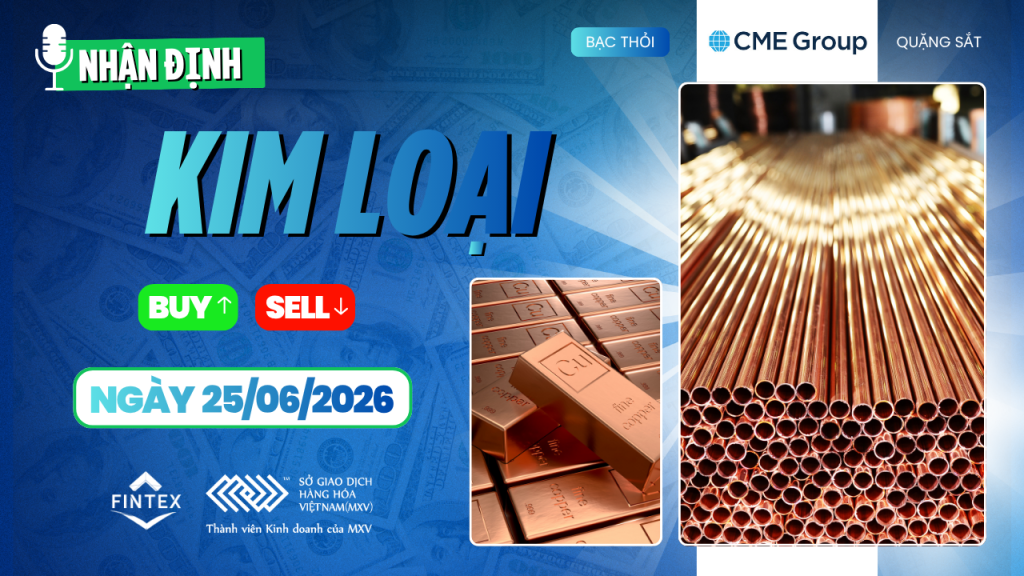 Nhận định thị trường kim loại ngày 25-06-2026 - Đồng COMEX giữ đà tăng, bạc phục hồi và bạch kim tích lũy