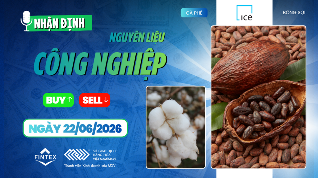 Nhận định thị trường nguyên liệu công nghiệp ngày 22-06-2026 - Cacao tăng mạnh, cà phê chịu áp lực nguồn cung Brazil