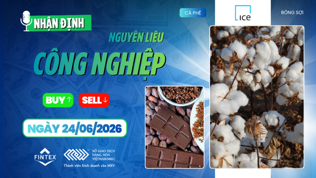 Nhận định thị trường nguyên liệu công nghiệp ngày 24-06-2026 - Cacao tăng mạnh, cà phê chịu áp lực nguồn cung Brazil