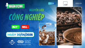 Nhận định thị trường nguyên liệu công nghiệp ngày 30-06-2026 - Cà phê điều chỉnh, ca cao chịu áp lực, đường và bông giao dịch giằng co