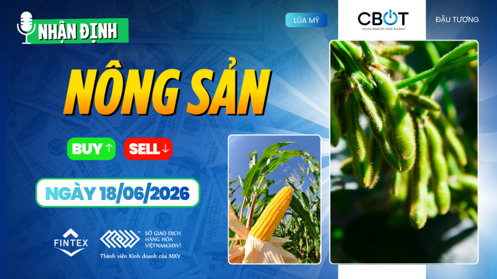 Nhận định thị trường nông sản ngày 18-06-2026 - Đậu tương dẫn dắt đà tăng trên CBOT