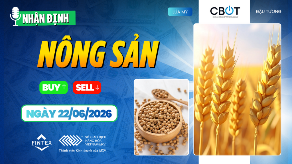 Nhận định thị trường nông sản ngày 22-06-2026 - Lúa mì phục hồi, ngô và đậu tương giằng co trên CBOT