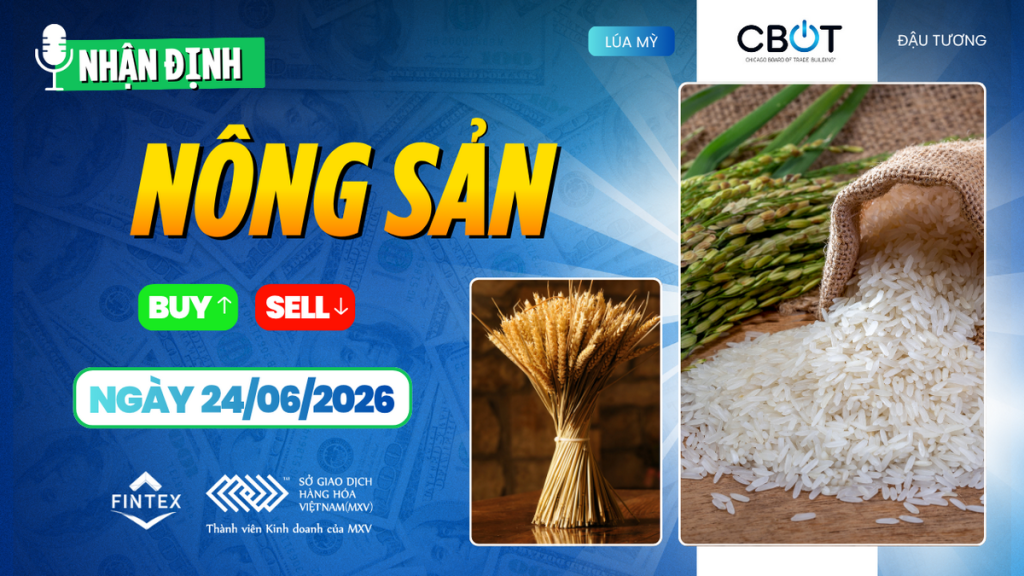 Nhận định thị trường nông sản ngày 24-06-2026 - Lúa mì, ngô và đậu tương đồng loạt chịu áp lực trên CBOT