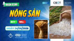 Nhận định thị trường nông sản ngày 24-06-2026 - Lúa mì, ngô và đậu tương đồng loạt chịu áp lực trên CBOT