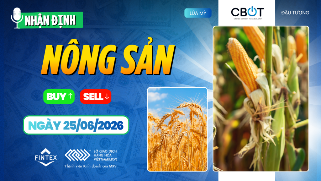 Nhận định thị trường nông sản ngày 25-06-2026 - Lúa mì, ngô và đậu tương giảm do áp lực nguồn cung và triển vọng mùa vụ tích cực
