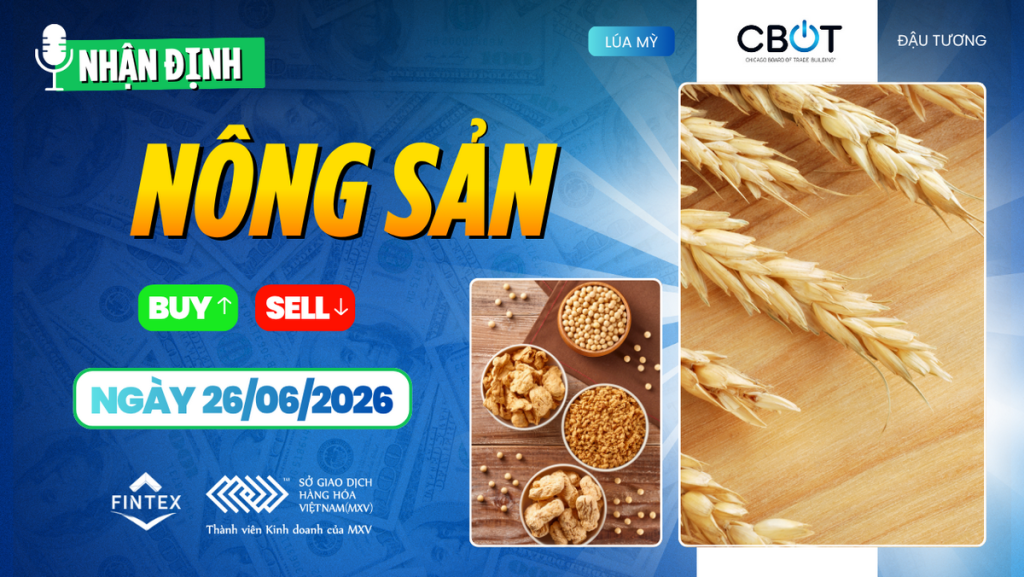 Nhận định thị trường nông sản ngày 26/06/2026: Đậu tương phục hồi, lúa mì và ngô chịu áp lực