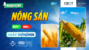 Nhận định thị trường nông sản ngày 30/06/2026: Ngô lao dốc trước báo cáo USDA