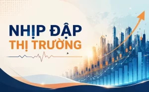 Nhịp đập thị trường chứng khoán, thông tin chứng khoán cùng fintex