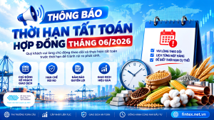 tat-toan-mxv-thang-062026