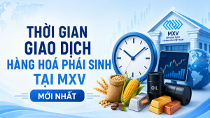 Thời gian giao dịch hàng hoá phái sinh tại MXV - Fintex
