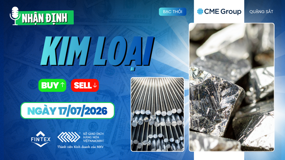 Nhận định thị trường kim loại ngày 17/07/2026 – Bạc điều chỉnh kỹ thuật, đồng COMEX tích lũy, bạch kim duy trì triển vọng tích cực.