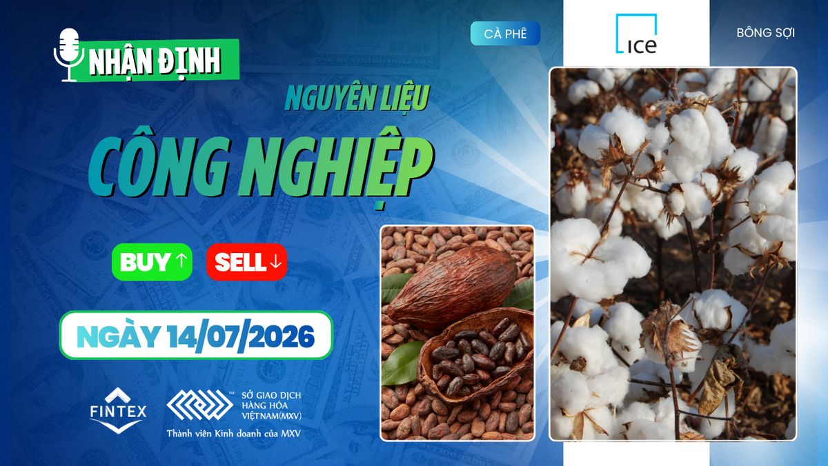 Nhận định thị trường nguyên liệu công nghiệp ngày 14/07/2026 – Cà phê tích lũy, ca cao điều chỉnh, bông phục hồi nhờ giá dầu và thời tiết.