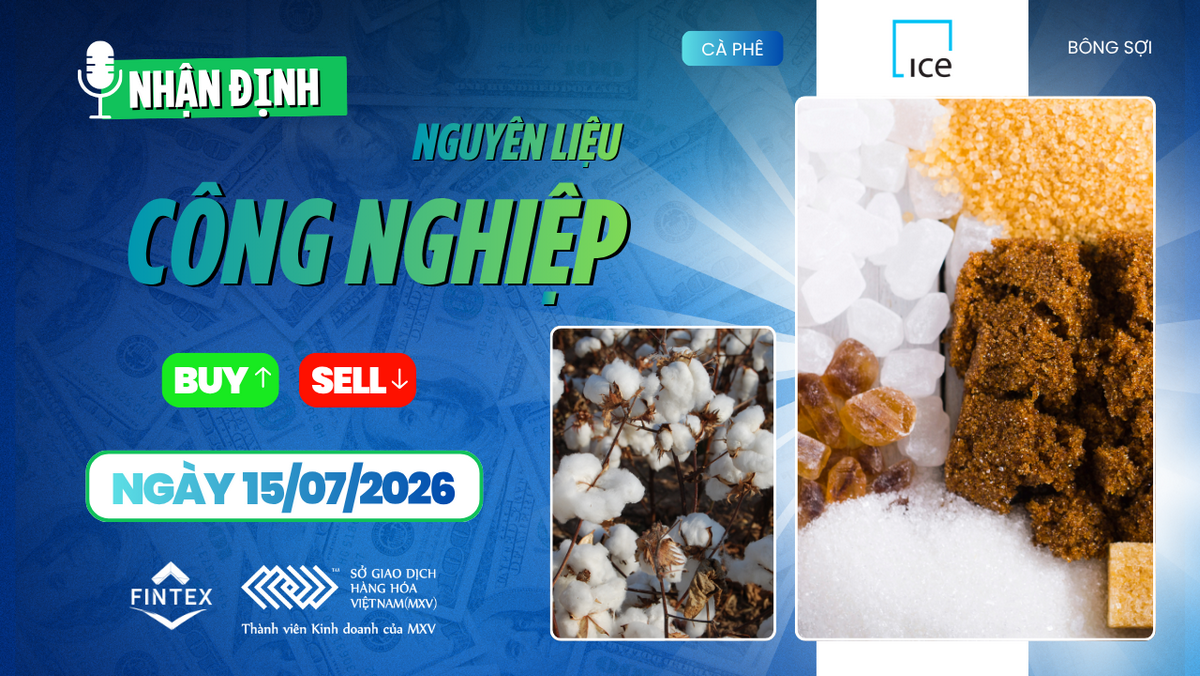 Nhận định thị trường nguyên liệu công nghiệp ngày 15/07/2026 – Cà phê tích lũy, ca cao điều chỉnh và đường chịu áp lực nguồn cung.