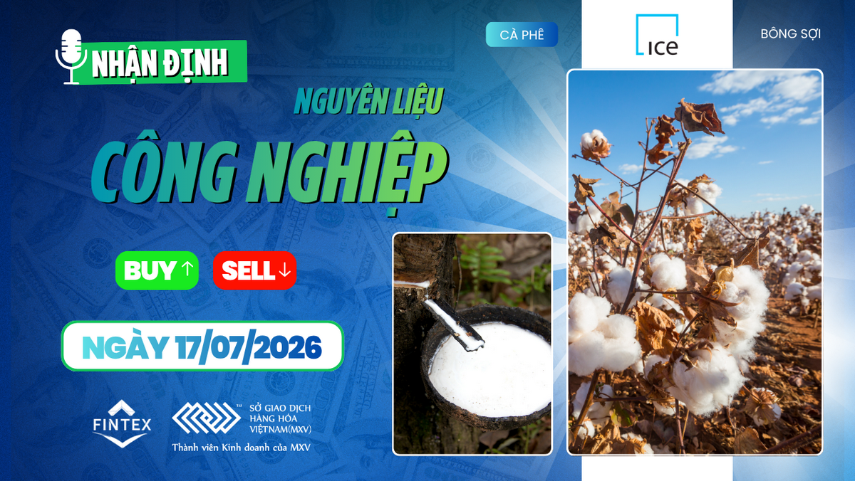 Nhận định thị trường nguyên liệu công nghiệp ngày 17/07/2026 – Cà phê giữ đà tích cực, đường chịu áp lực nguồn cung, ca cao giằng co và bông đi ngang.