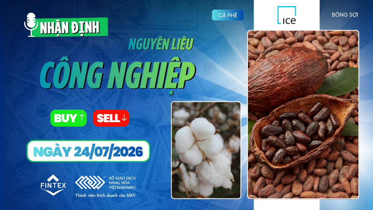 Nhận định thị trường nguyên liệu công nghiệp ngày 24/07/2026 – Dầu cọ tăng mạnh, cà phê chịu áp lực nguồn cung Brazil, đường, ca cao và bông phân hóa.