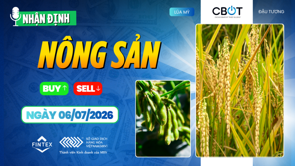 nhận định thị trường nông sản ngày 06/07/2026
