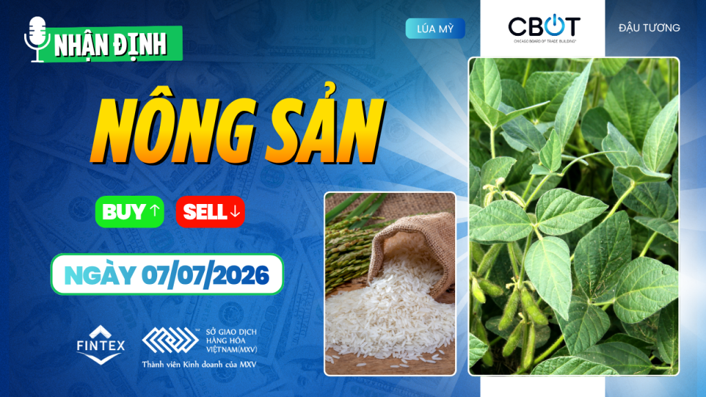 nhận định thị trường nông sản ngày 07/07/2026