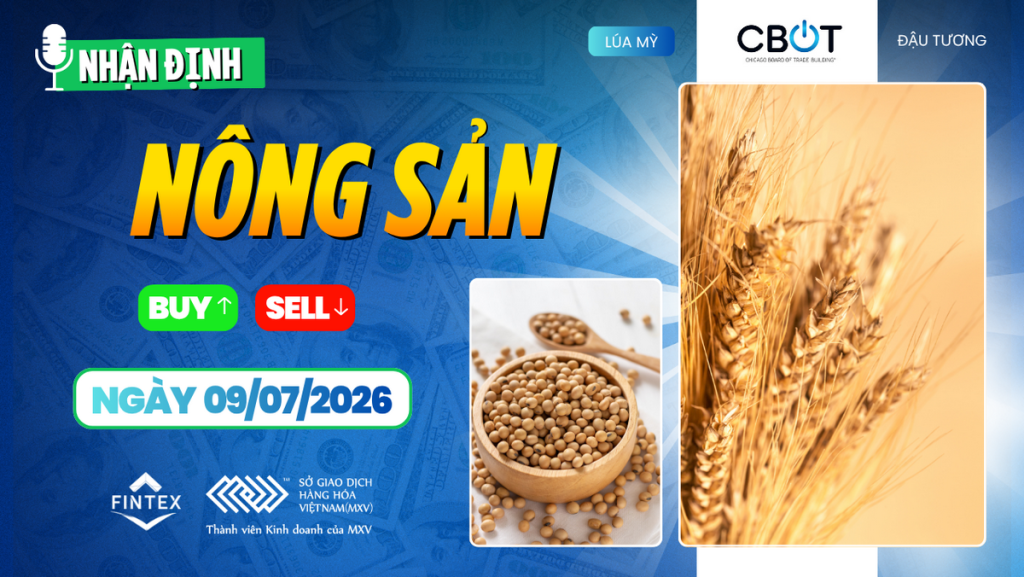 Nhận định thị trường nông sản ngày 09/07/2026 – Ngô và đậu tương giằng co trước triển vọng mùa vụ tích cực tại Mỹ.