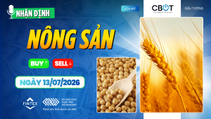 Nhận định thị trường nông sản ngày 13/07/2026 – Thị trường chuyển trọng tâm sang thời tiết sau báo cáo WASDE, lúa mì giữ nền giá tích cực.