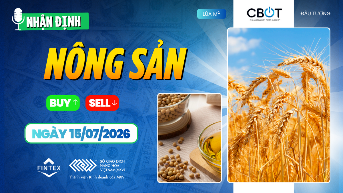 Nhận định thị trường nông sản ngày 15/07/2026 – Crop Progress cải thiện, ngô và đậu tương theo dõi thời tiết Corn Belt, lúa mì giữ nền giá tích cực.