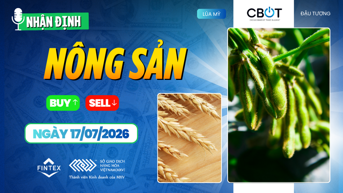 Nhận định thị trường nông sản ngày 17/07/2026 – Lúa mì tăng giá, ngô và đậu tương theo sát diễn biến thời tiết tại Mỹ.