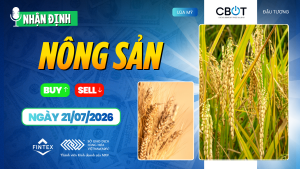 Nhận định thị trường nông sản ngày 21/07/2026 – Đậu tương dẫn dắt đà tăng, ngô và lúa mì tiếp tục được hỗ trợ.