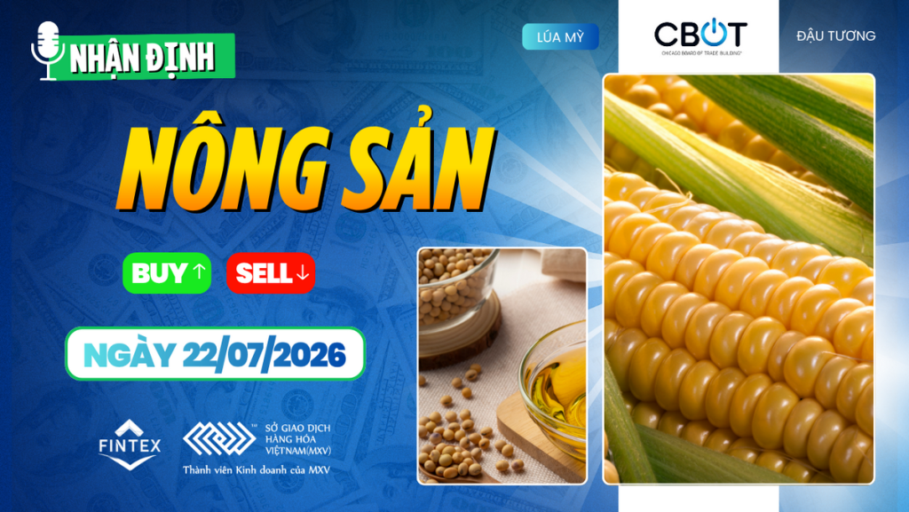 Nhận định thị trường nông sản ngày 22/07/2026 – Đậu tương giữ vai trò dẫn dắt, ngô và lúa mì tiếp tục được hỗ trợ