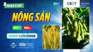 Nhận định thị trường nông sản ngày 23/07/2026 – Đậu tương duy trì tích cực, ngô theo sát thời tiết Corn Belt và lúa mì được hỗ trợ bởi rủi ro nguồn cung
