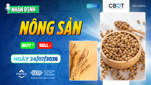 Nhận định thị trường nông sản ngày 24/07/2026 – Đậu tương được hỗ trợ bởi thời tiết, ngô chịu áp lực nguồn cung, lúa mì phục hồi nhờ lực mua kỹ thuật.