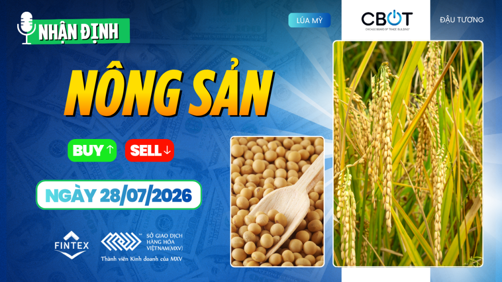 Nhận định thị trường nông sản ngày 28/07/2026: Đậu tương và ngô điều chỉnh, lúa mì tiếp tục giữ xu hướng tích cực.