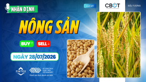 Nhận định thị trường nông sản ngày 28/07/2026: Đậu tương và ngô điều chỉnh, lúa mì tiếp tục giữ xu hướng tích cực.