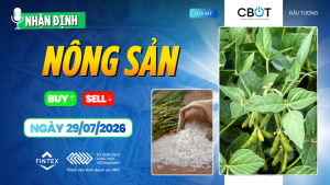 Nhận định thị trường nông sản ngày 29/07/2026: Đậu tương điều chỉnh, ngô chờ tín hiệu mới, lúa mì tiếp tục được hỗ trợ