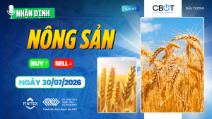 Nhận định thị trường nông sản ngày 30/07/2026: Đậu tương và ngô giảm do thời tiết thuận lợi, lúa mì được hỗ trợ bởi rủi ro Biển Đen.