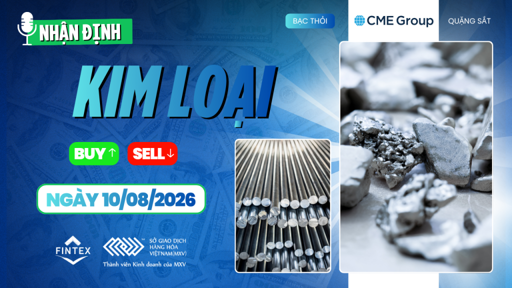 Nhận định thị trường kim loại ngày 10/08/2026: Đồng, Bạc, Bạch kim và Quặng sắt