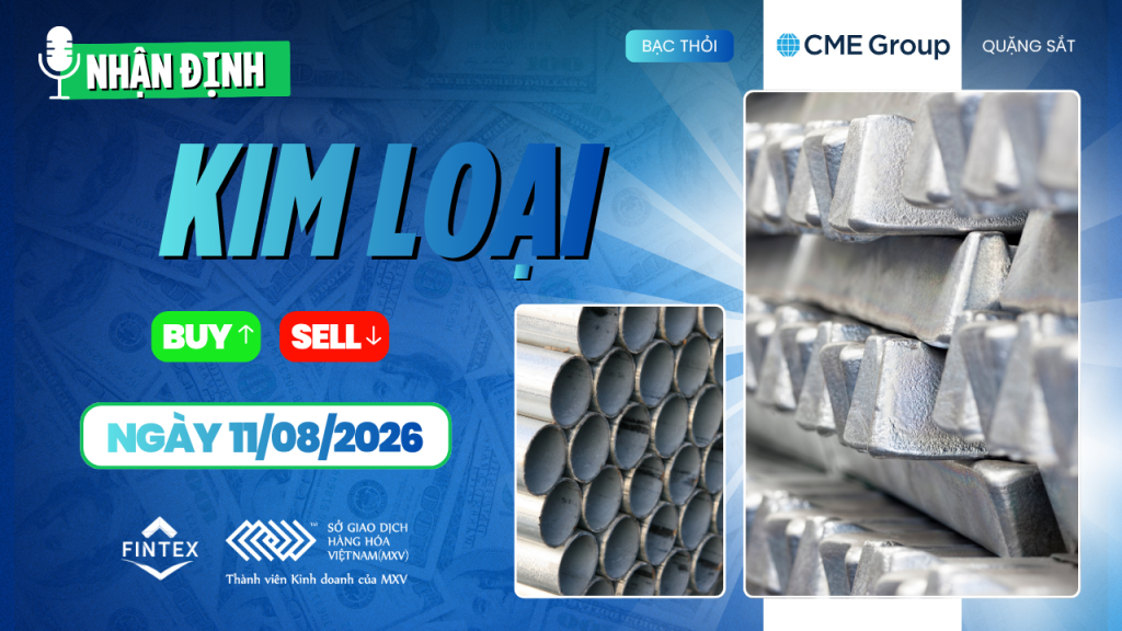 Nhận định thị trường kim loại ngày 11/08/2026: Đồng, Bạc, Bạch kim và Quặng sắt