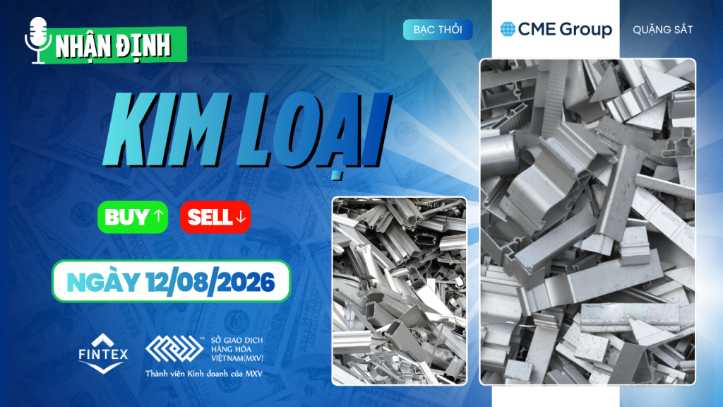 Nhận định thị trường kim loại ngày 12/08/2026: Đồng, Bạc, Bạch kim và Quặng sắt