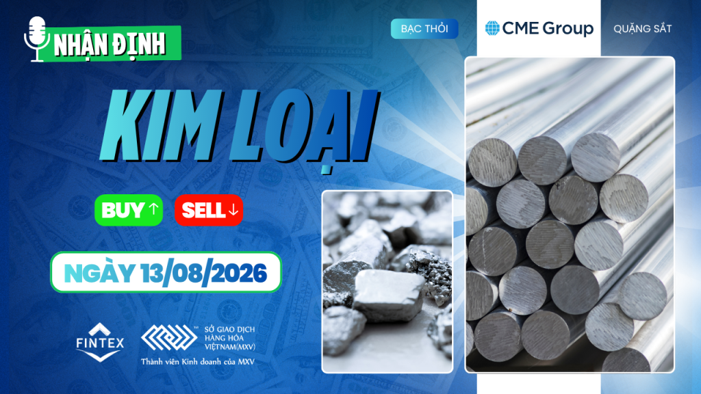 Nhận định thị trường kim loại ngày 13/08/2026: Đồng, Bạc, Bạch kim và Quặng sắt