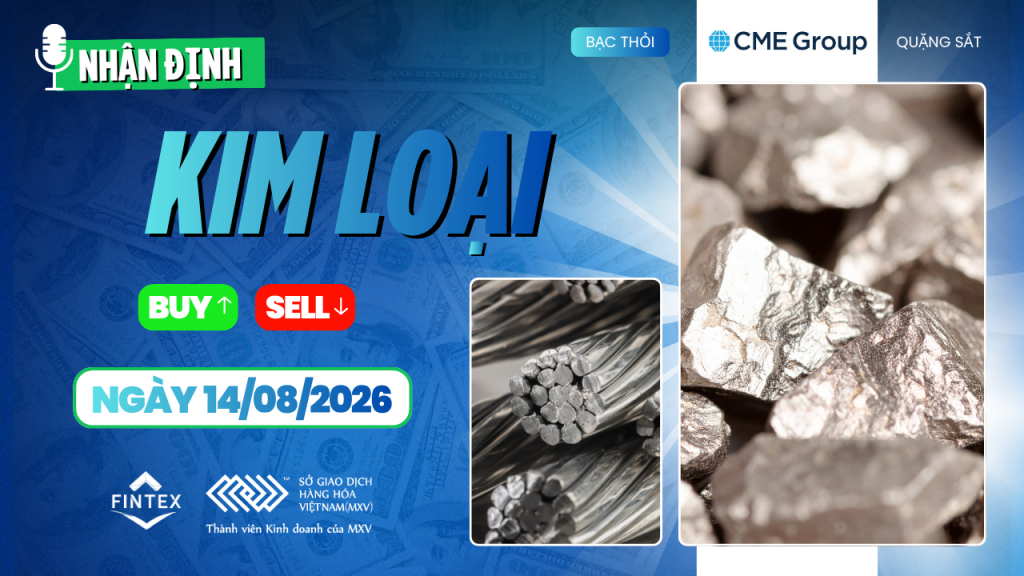 Nhận định thị trường kim loại ngày 14/08/2026: Đồng, Bạc, Bạch kim và Quặng sắt