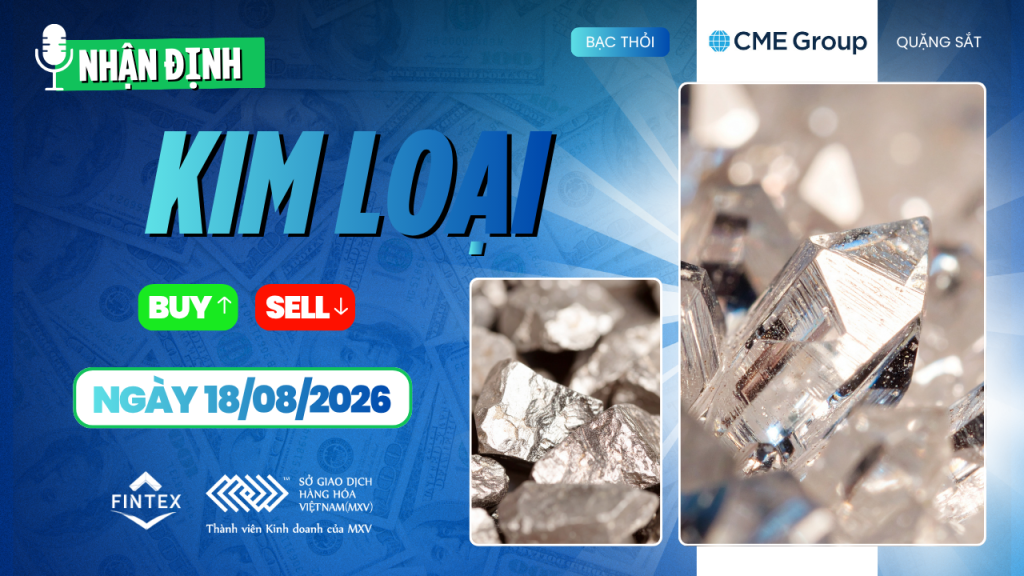 Nhận định thị trường kim loại ngày 18/08/2026: vàng bạc tích cực, đồng áp sát đỉnh lịch sử