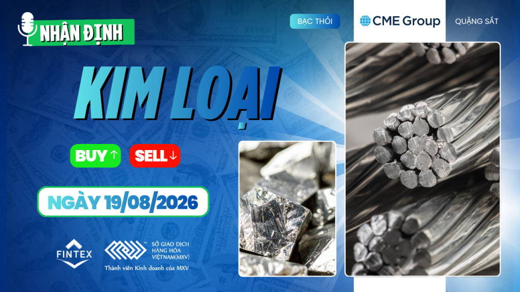 Nhận định thị trường kim loại ngày 19/08/2026: Đồng, Bạc, Bạch kim và Quặng sắt