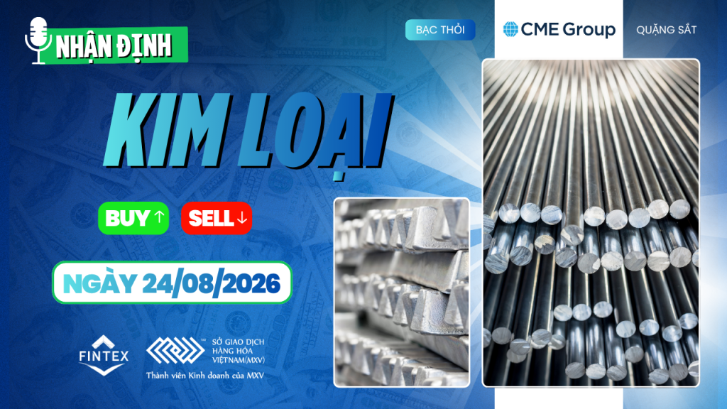 Nhận định thị trường kim loại ngày 24/08/2026: Đồng, Bạc, Bạch kim và Quặng sắt