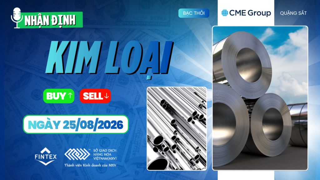 Nhận định thị trường kim loại ngày 25/08/2026: Đồng, Bạc, Bạch kim và Quặng sắt
