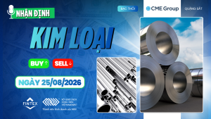 Nhận định thị trường kim loại ngày 25/08/2026: Đồng, Bạc, Bạch kim và Quặng sắt