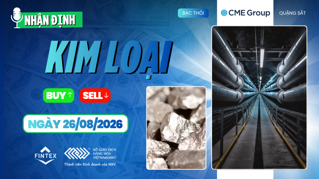 Nhận định thị trường kim loại ngày 26/08/2026: Đồng, Bạc, Bạch kim và Quặng sắt