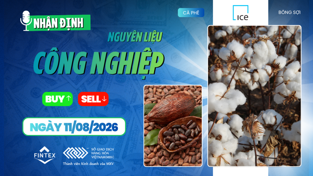 Nhận định thị trường nguyên liệu công nghiệp ngày 11/08/2026 – Cà phê, ca cao, đường và bông
