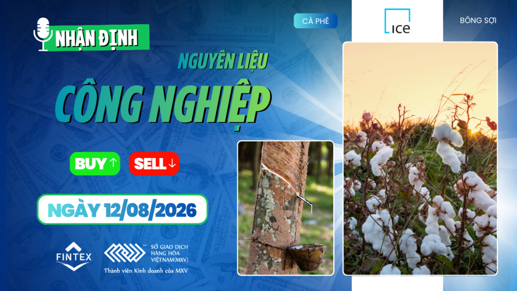 Nhận định thị trường nguyên liệu công nghiệp ngày 12/08/2026 – Cà phê, ca cao, đường và bông