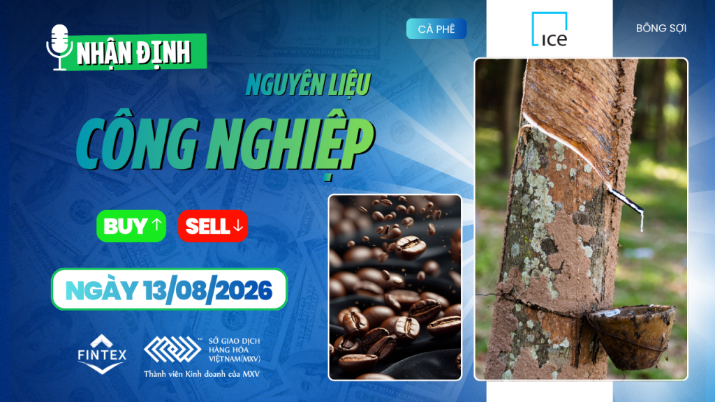 Nhận định thị trường nguyên liệu công nghiệp ngày 13/08/2026 – Cà phê, ca cao, đường và bông